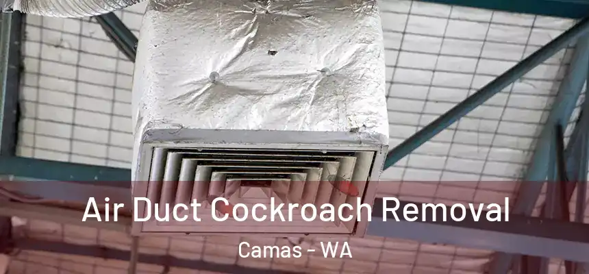 Air Duct Cockroach Removal Camas - WA