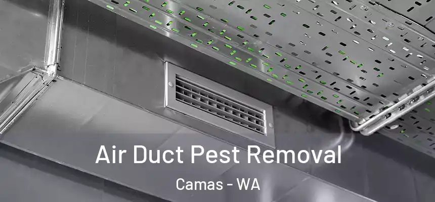 Air Duct Pest Removal Camas - WA
