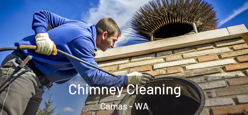  Chimney Cleaning Camas - WA