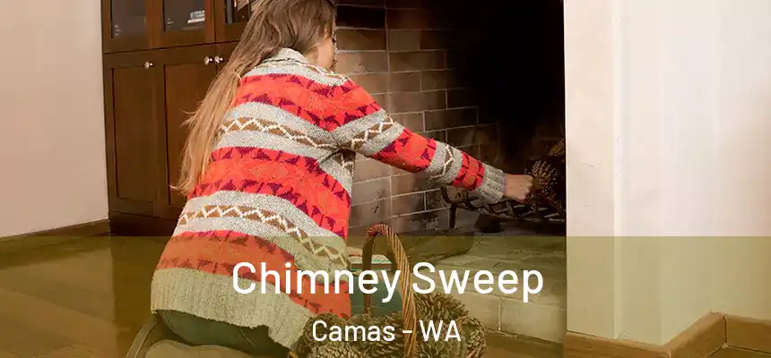  Chimney Sweep Camas - WA