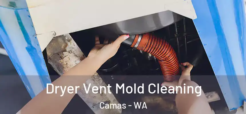 Dryer Vent Mold Cleaning Camas - WA