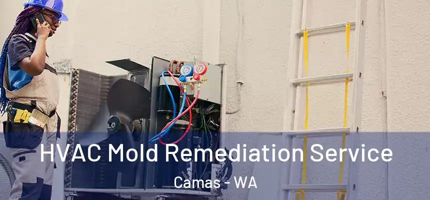 HVAC Mold Remediation Service Camas - WA