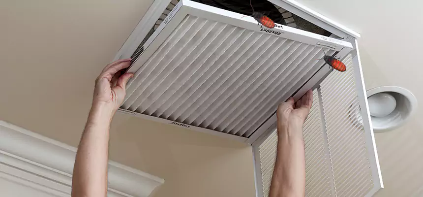 Preventive Cockroach-Proofing for Ducts in Camas