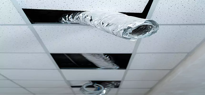 Our Air Duct Pet Hair Removal Services in Camas, WA