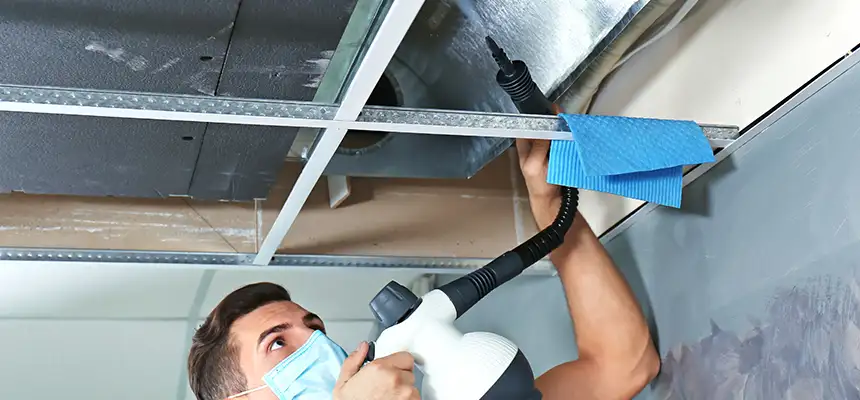 Our Air Duct Rodent Removal Services in Camas, WA