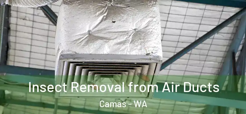  Insect Removal from Air Ducts Camas - WA