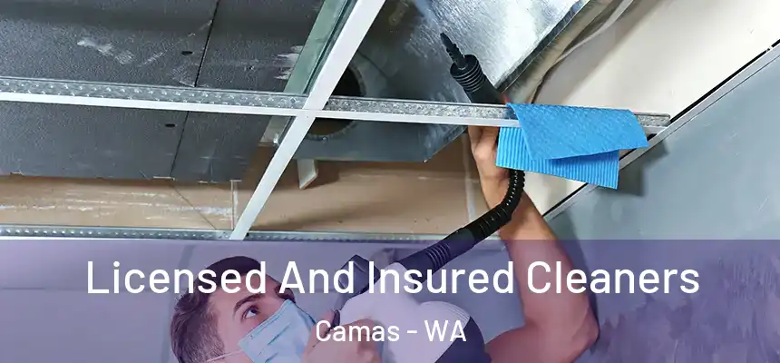 Licensed And Insured Cleaners Camas - WA