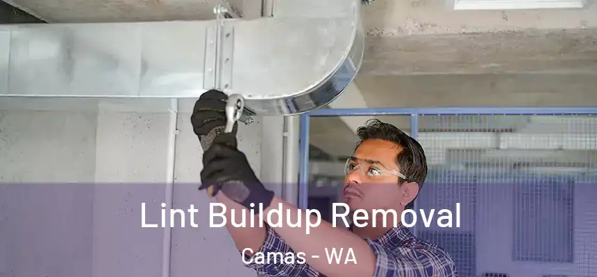 Lint Buildup Removal Camas - WA