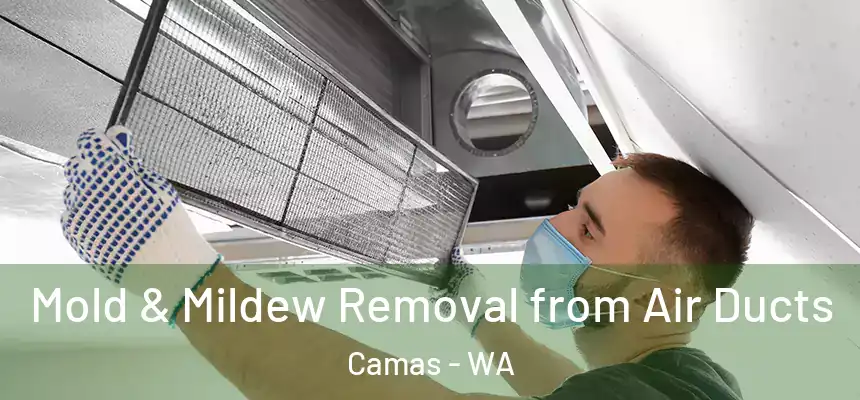Mold & Mildew Removal from Air Ducts Camas - WA