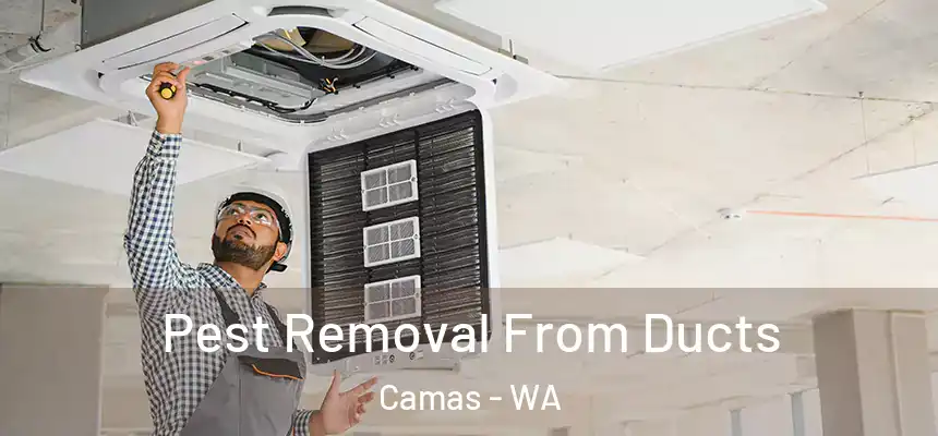 Pest Removal From Ducts Camas - WA