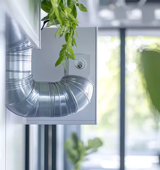 Professional Eco-Friendly Duct Cleaning Services in Camas, WA