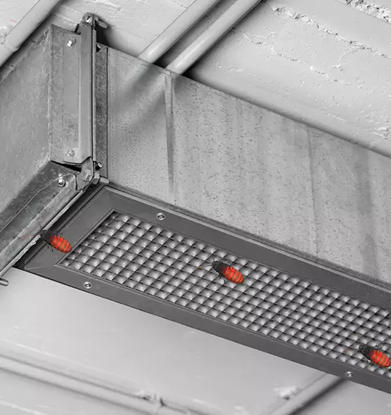 Affordable Insect Removal from Air Ducts in Camas, WA