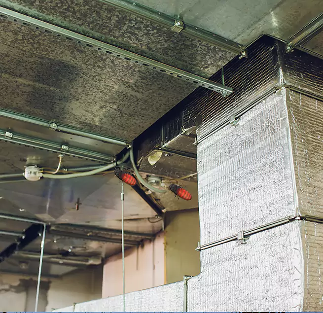 Why Homeowners & Businesses Trust Us in Camas, WA?