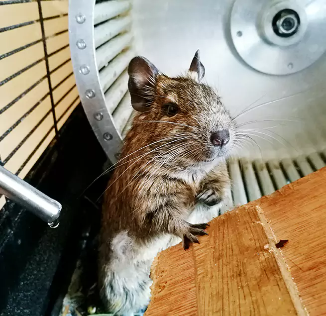 Why Homeowners & Businesses Trust Us Camas, WA