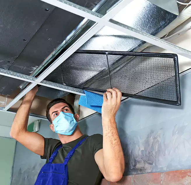 Why Homeowners Businesses Trust Us in Camas, WA